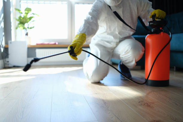 Reliable Odor Removal contractor in Montezuma, GA by Trauma Clean Pros